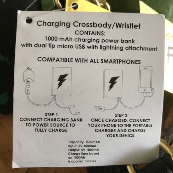 BETSEY JOHNSON "I'M IN CHARGE" Charging Roses Bag - Picture 5 of 8